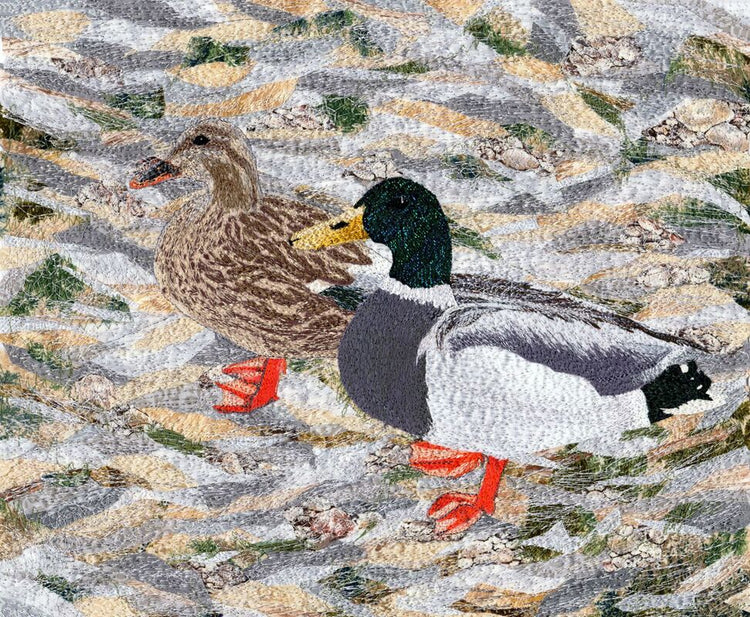 Suburban Wild, Ducks at the Lake