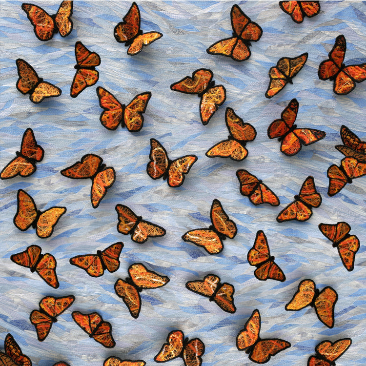 Metamorphosis (butterflies)